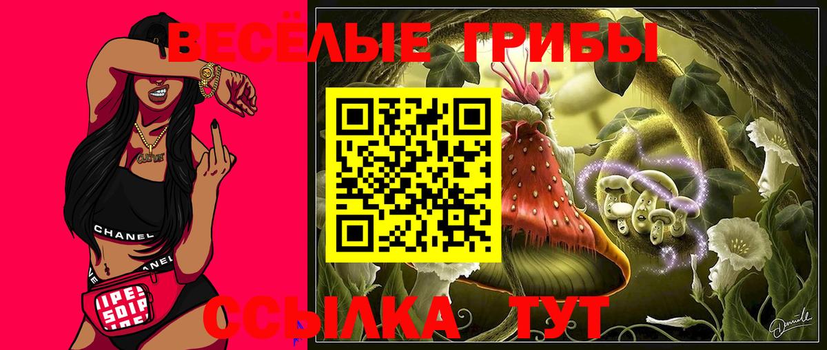 Галлюциногенные грибы GOLDEN TEACHER Лобня
